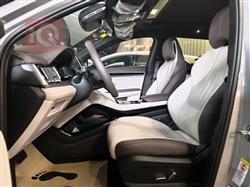 بي واي دي سونغ بلس